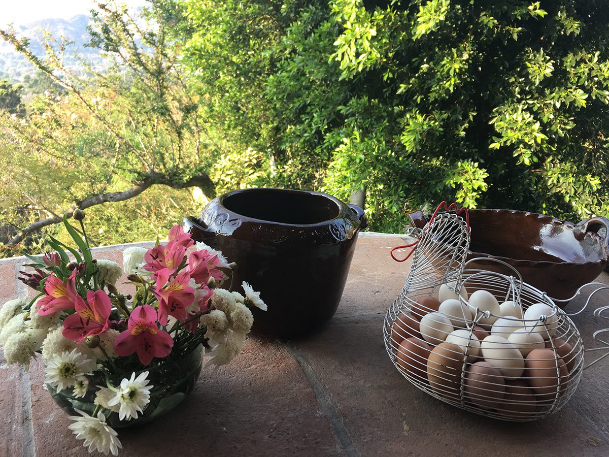 Fresh-Eggs-and-Flowers Fresh-Eggs-and-Flowers