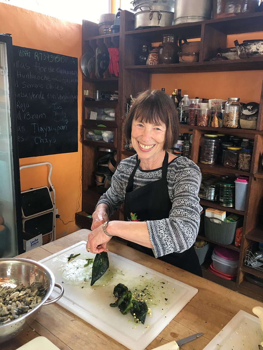 Ginger-Smiles-on-Chilis Ginger-Smiles-on-Chilis