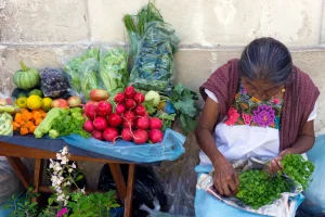 market yucatan