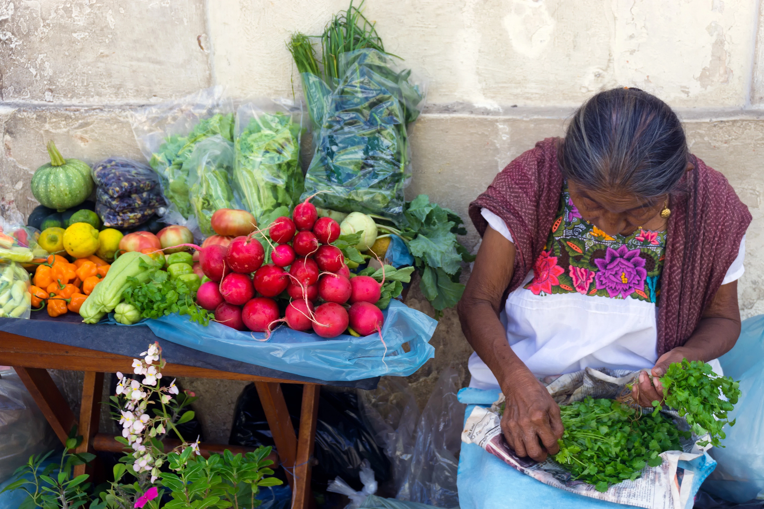 market yucatan