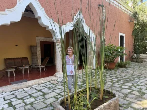 outdoors yucatan