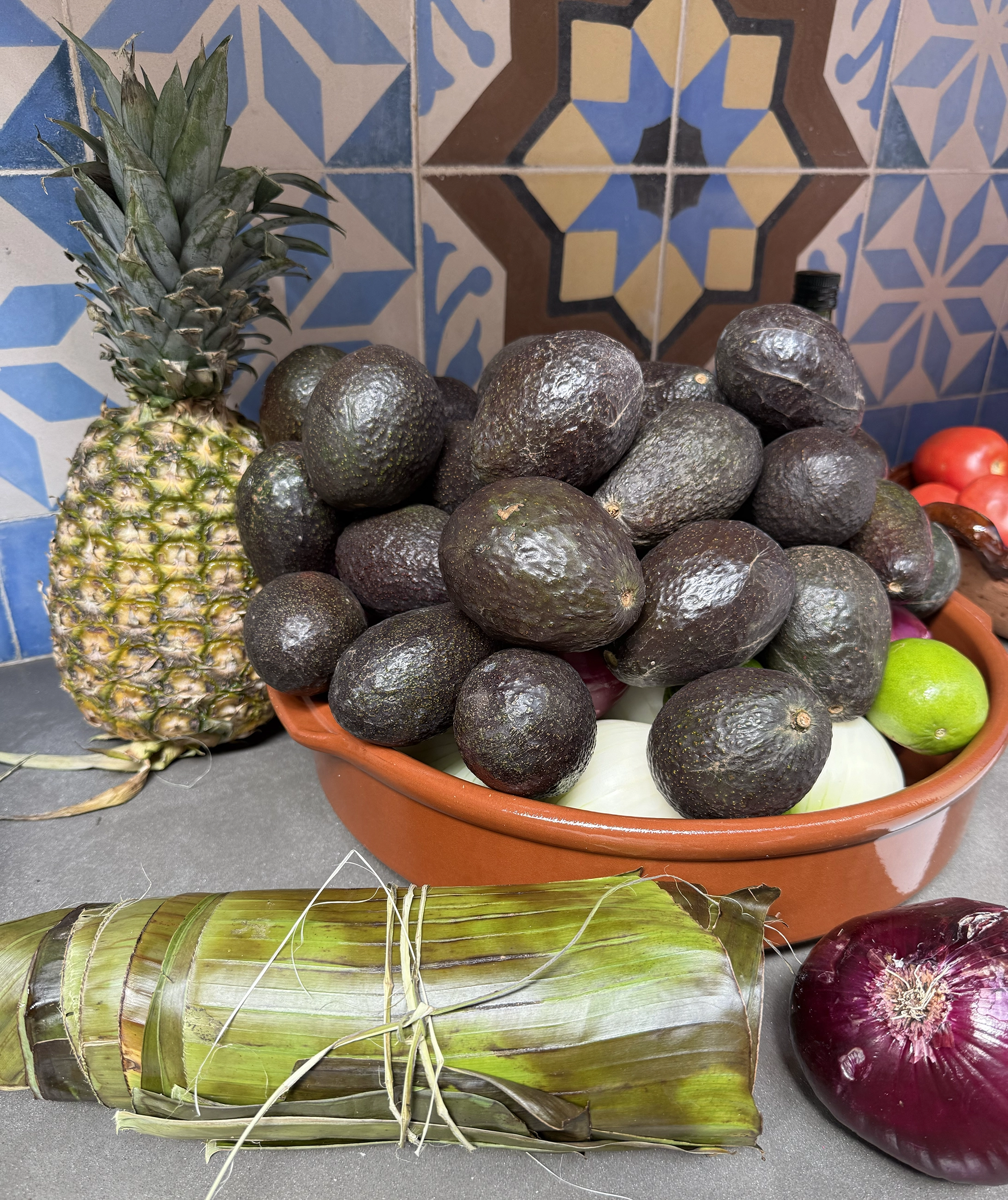 yucatan avocados